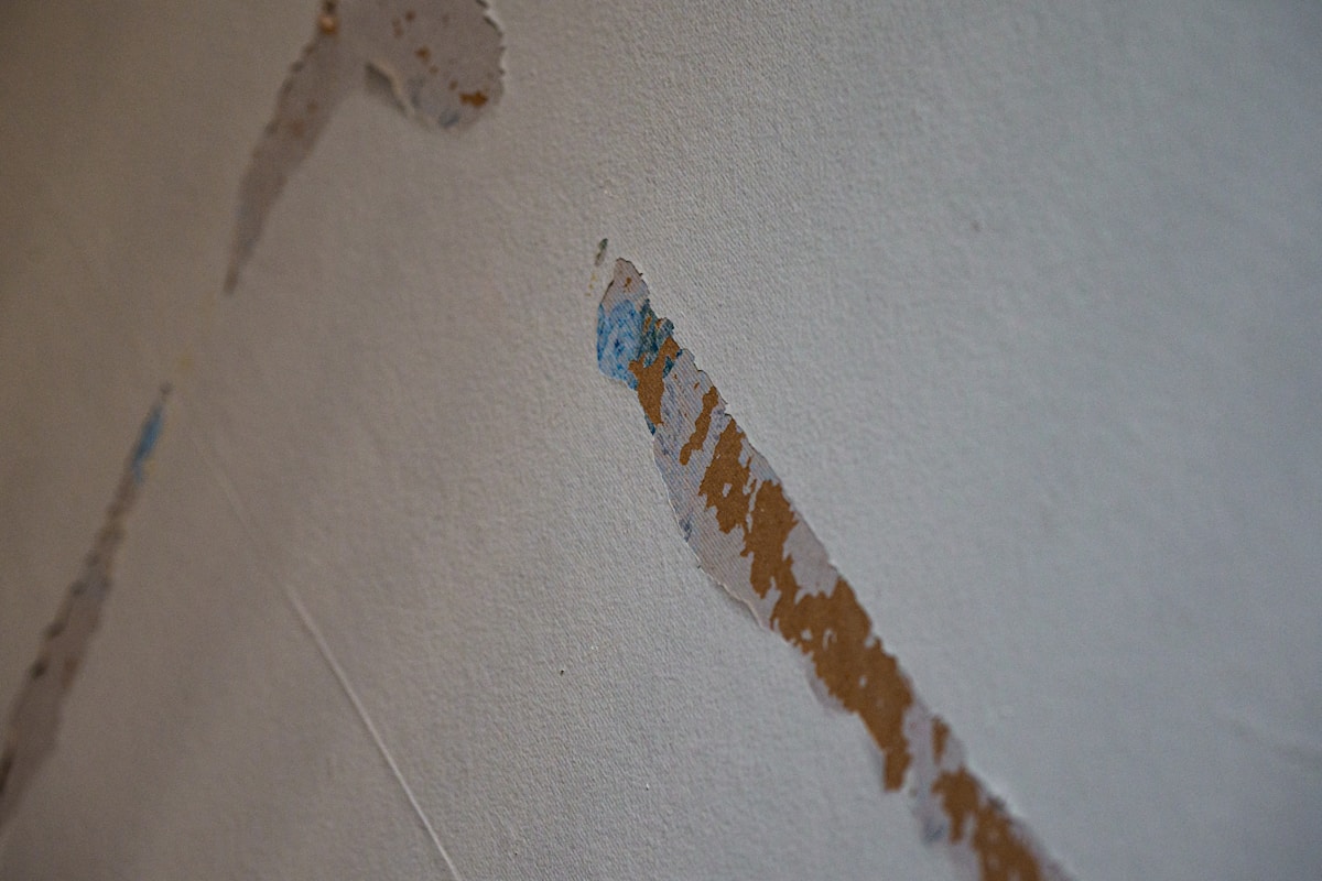 Basement Water Removal service in West Haven, CT