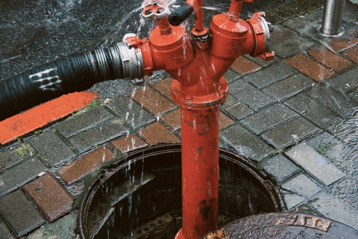 Mold Remediation service in West Haven, CT